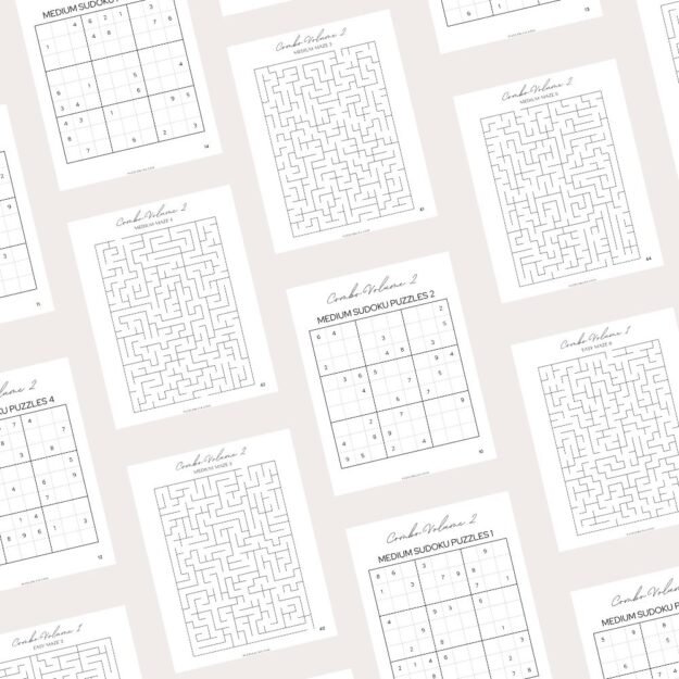 Large Print Combo Puzzles Volume 2 (2)