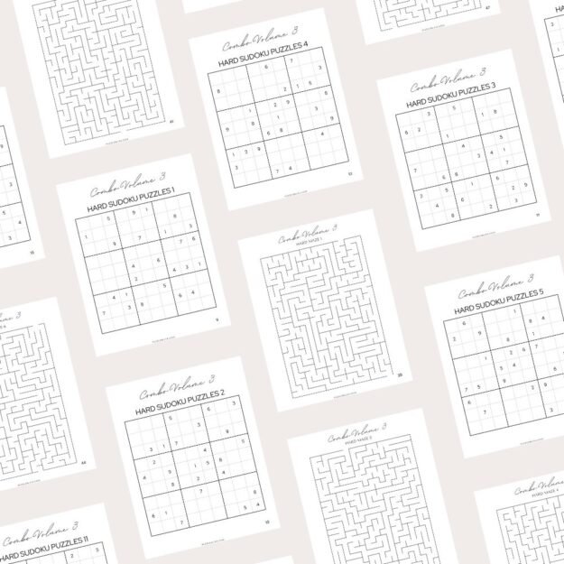 Large Print Combo Puzzles Volume 3 (2)