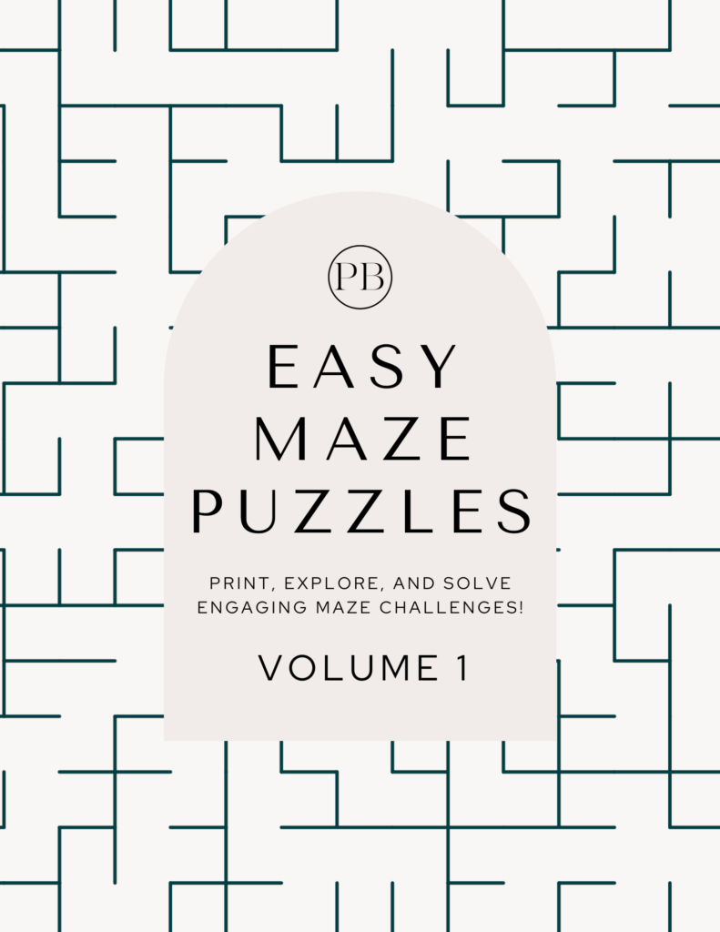 Maze Puzzles Easy Volume 1