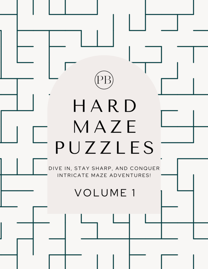 Maze Puzzles Hard Volume I