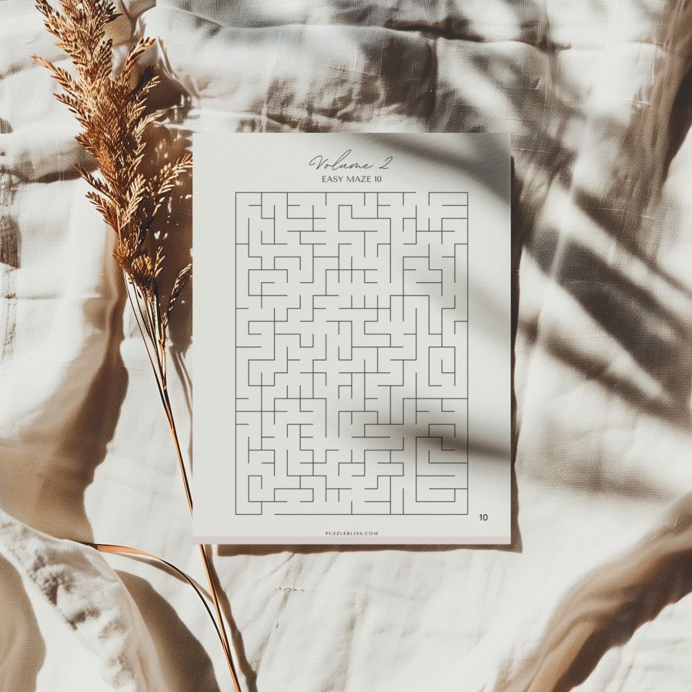 Printable Maze Puzzles Easy Volume 2