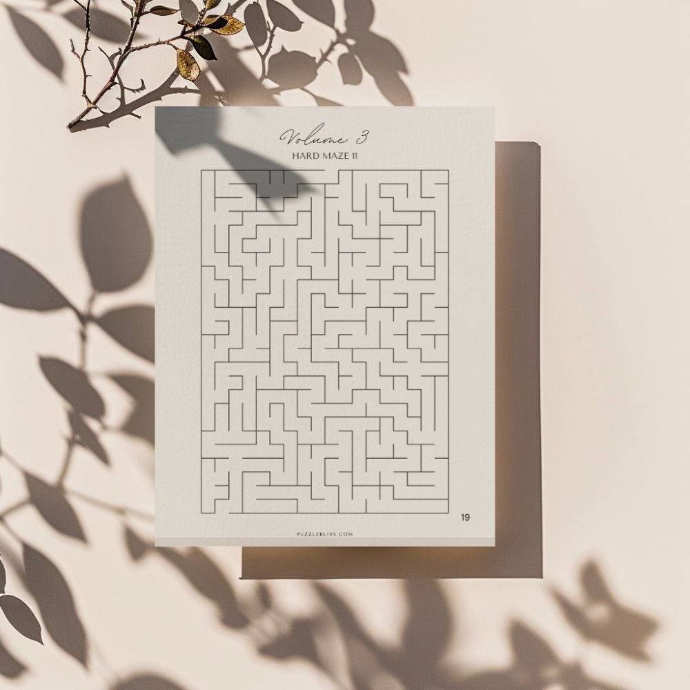 Printable Maze Puzzles Hard Volume 3 b