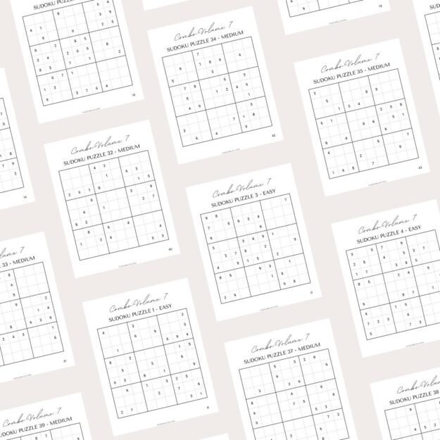 Large Print Combo Puzzles Volume 7 (2)